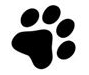 Dog paw