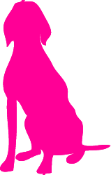 Services__element307