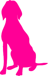 Services__element307